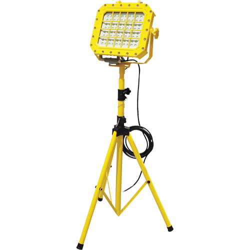 Explosion Proof Floodlight with Tripod, LED, 40 W, 5600 Lumens, Aluminum Housing