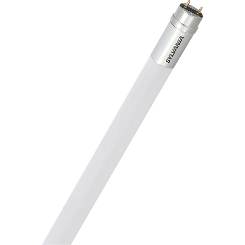 SubstiTUBE® Frosted Glass LED Bulb, 15 W, T8, 4100 K, 48" L