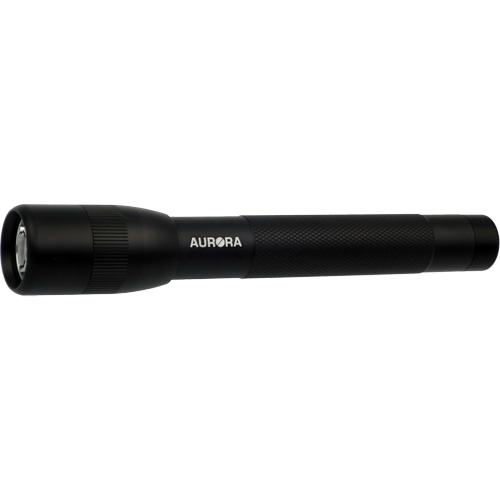 IPX4 Flashlight, 100 Lumens, AA Batteries