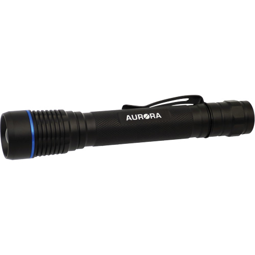 IPX7 Flashlight, LED, 250 Lumens, AA Batteries
