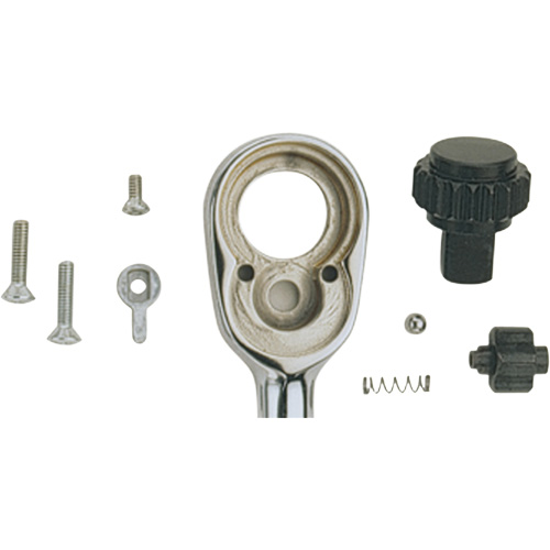 Ratchet Repair Kit