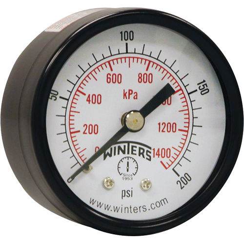 Economy Pressure Gauge, 2" , 0 - 200 psi, Back Mount, Analogue