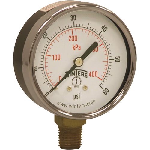 Economy Pressure Gauge, 2-1/2" , 0 - 60 psi, Bottom Mount, Analogue